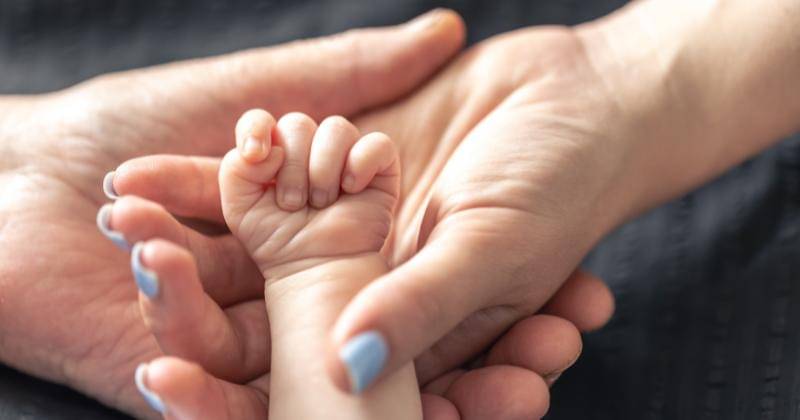 freepik/pcproduction